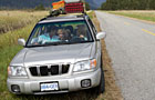 Auto Insurance