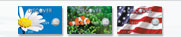 Choose from over 100 Student Credit Card designs